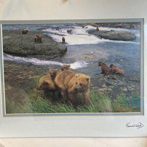 Kennan Ward Photography Signed Brown Bear “Grizzly” 1997